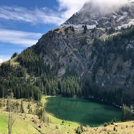 Im Obhegli By Interhome Daire Axalp