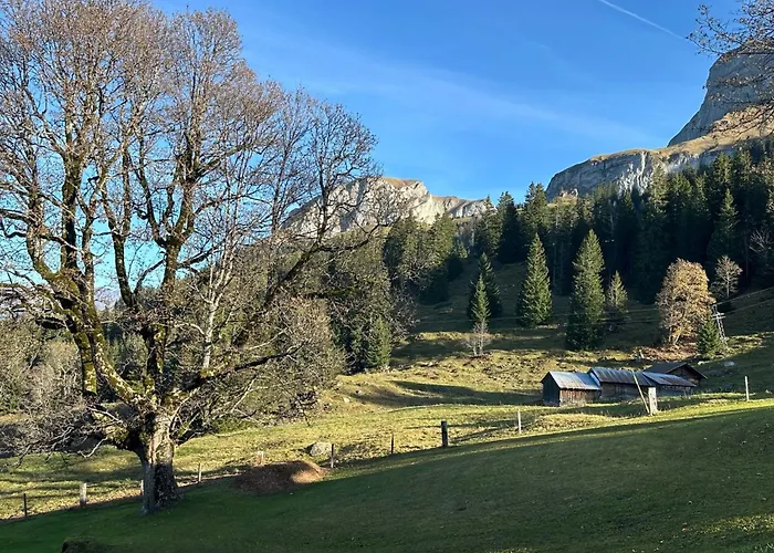 Im Obhegli By Interhome Axalp